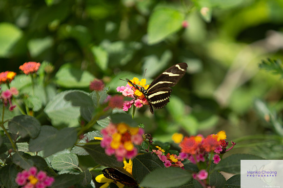 Canon EOS 60D_20150401_143432