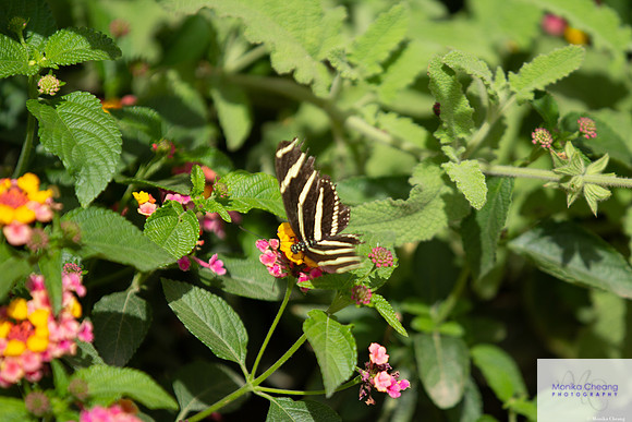 Canon EOS 60D_20150401_143526