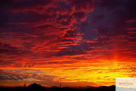 Canon EOS 5D Mark III_20150119_175203