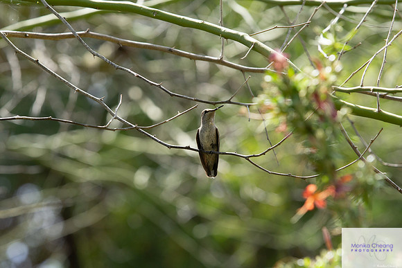 Canon EOS 60D_20150401_135542