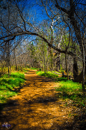 XM5A3033