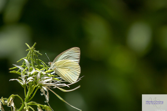 Canon EOS 60D_20150401_143042