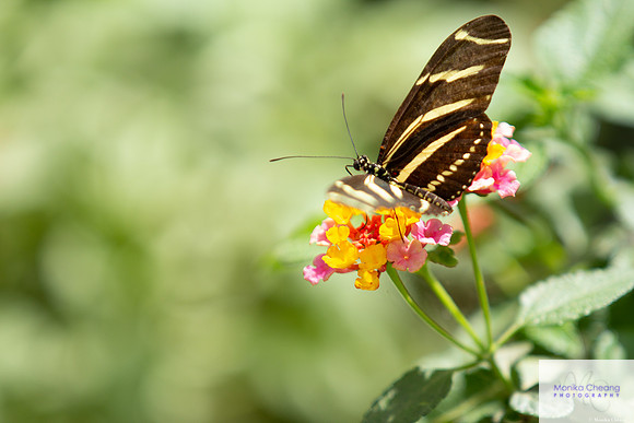 Canon EOS 60D_20150401_143238