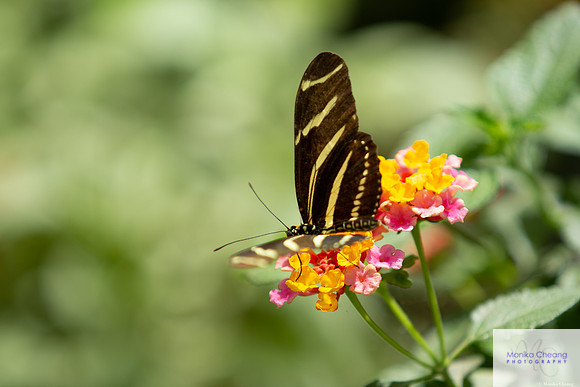 Canon EOS 60D_20150401_143240