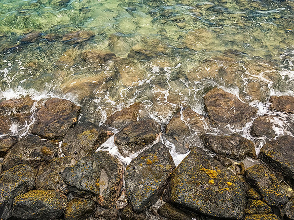 IMG_5924