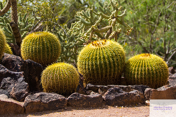 Canon EOS 60D_20150401_142438