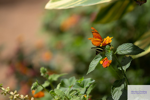 Canon EOS 60D_20150401_143131
