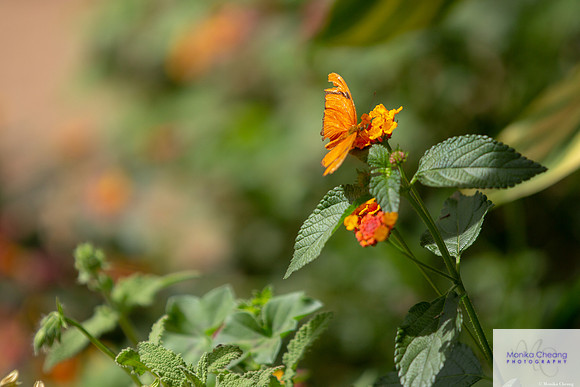 Canon EOS 60D_20150401_143132