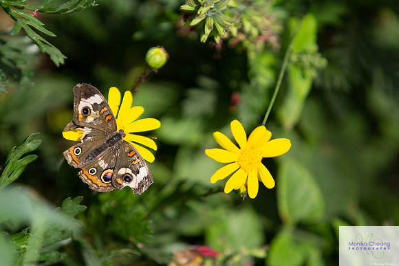 Canon EOS 60D_20150401_143341