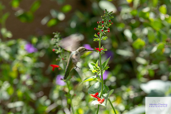 Canon EOS 60D_20150401_135431