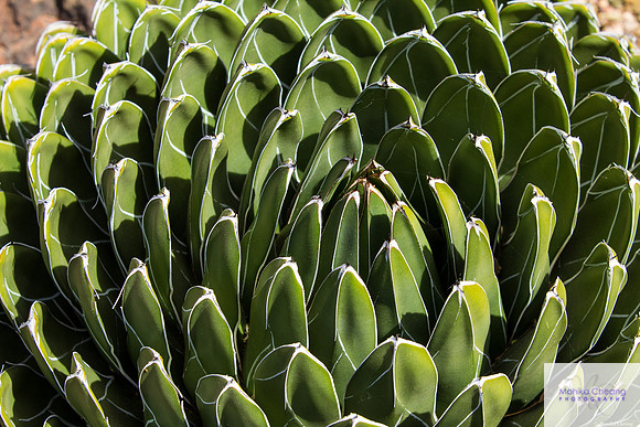Canon EOS 60D_20150401_142927