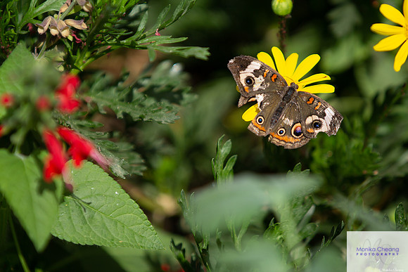 Canon EOS 60D_20150401_143332