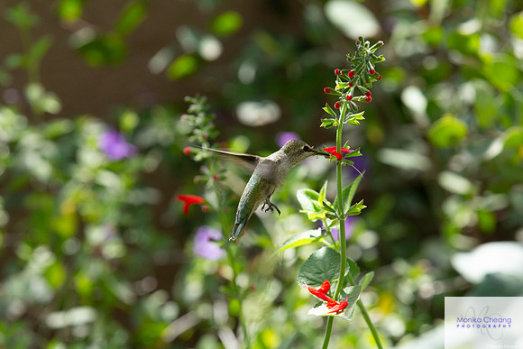 Canon EOS 60D_20150401_135430