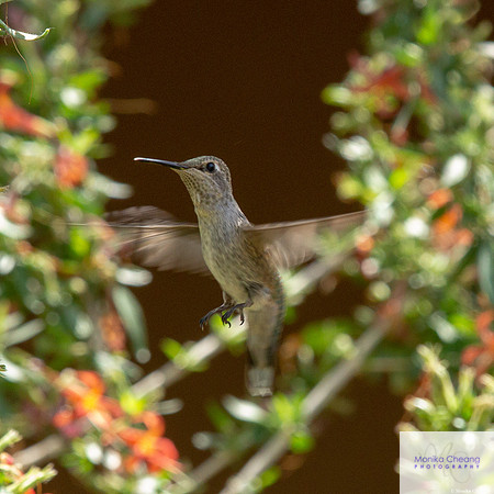 Canon EOS 60D_20150401_135324