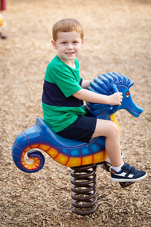 McDowell Mountain Park