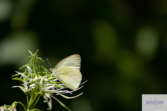 Canon EOS 60D_20150401_143043