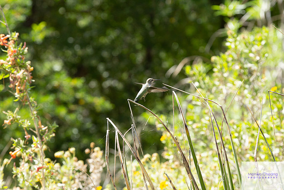 Canon EOS 60D_20150401_135240
