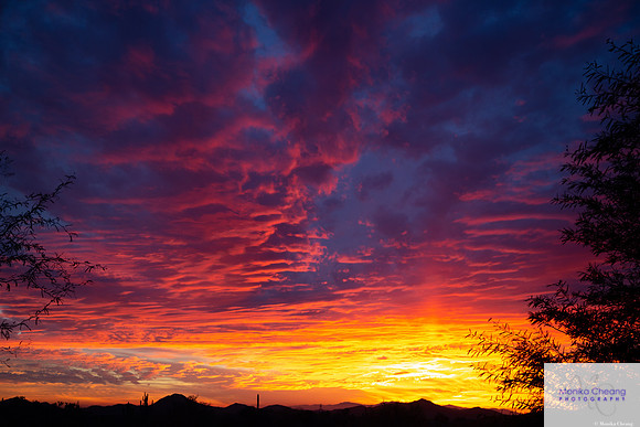 Canon EOS 5D Mark III_20150119_175235