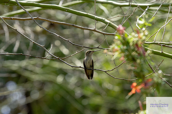 Canon EOS 60D_20150401_135540