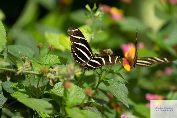 Canon EOS 60D_20150401_143447