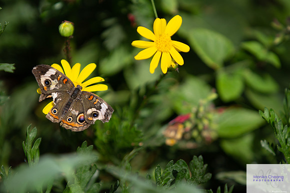 Canon EOS 60D_20150401_143337